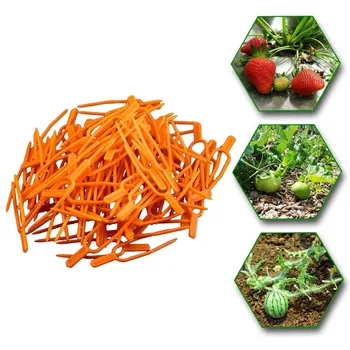 

100PC Tomato Veggie Garden Plant Support Clips For Trellis Twine Greenhouse Tool Supports Ring Durable Climbing Support Cage 73