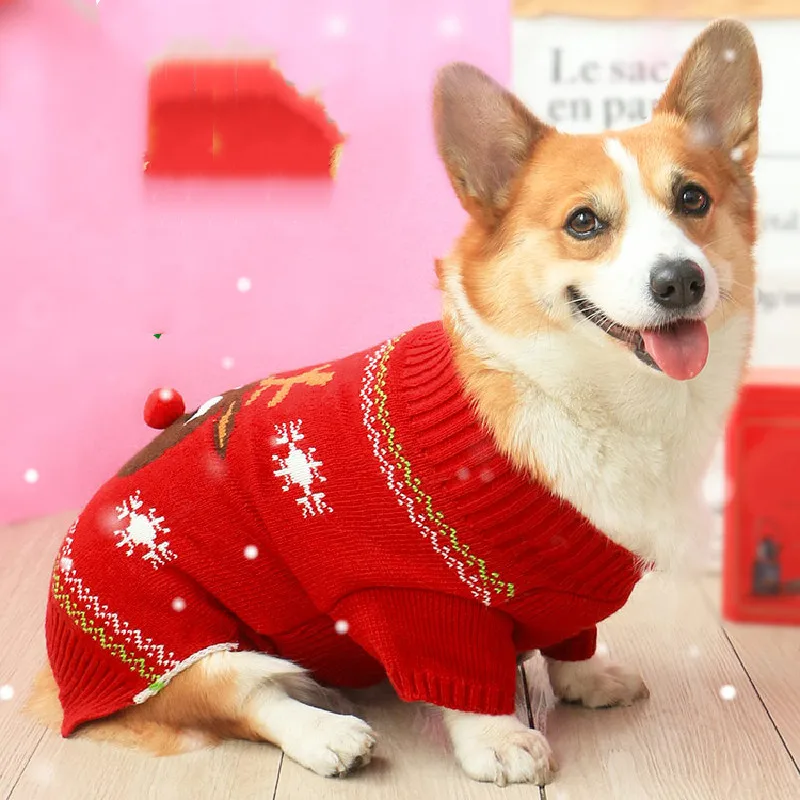 Camisola galesa Corgi, roupa de inverno, casaco