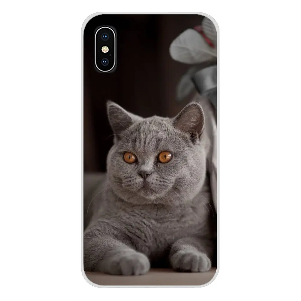 Для samsung Galaxy A3 A5 A7 A9 A8 Star A6 Plus британский короткошерстный чехол для телефона