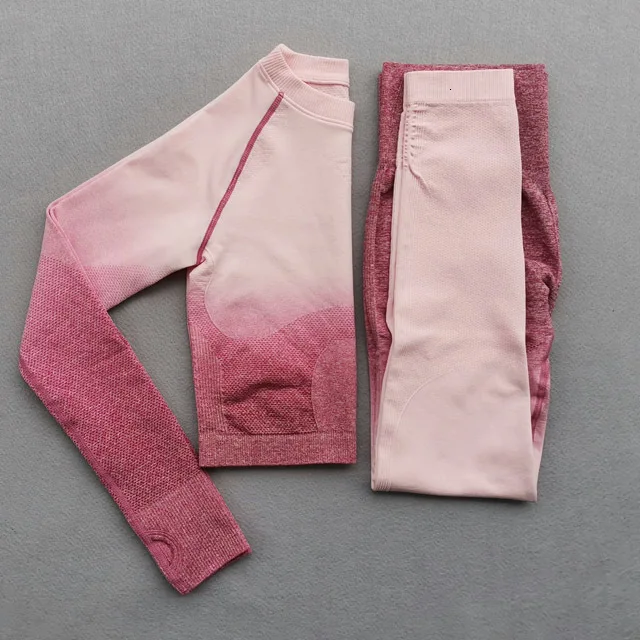 Pink 2pcs Set Женский комплект для йоги, одежда для спортзала, Омбре, бесшовные градиентные леггинсы+ Топ с длинным рукавом, спортивный костюм для тренировок, Женский комплект для фитнеса, одежда для активного отдыха - Цвет: Pink 2pcs Set