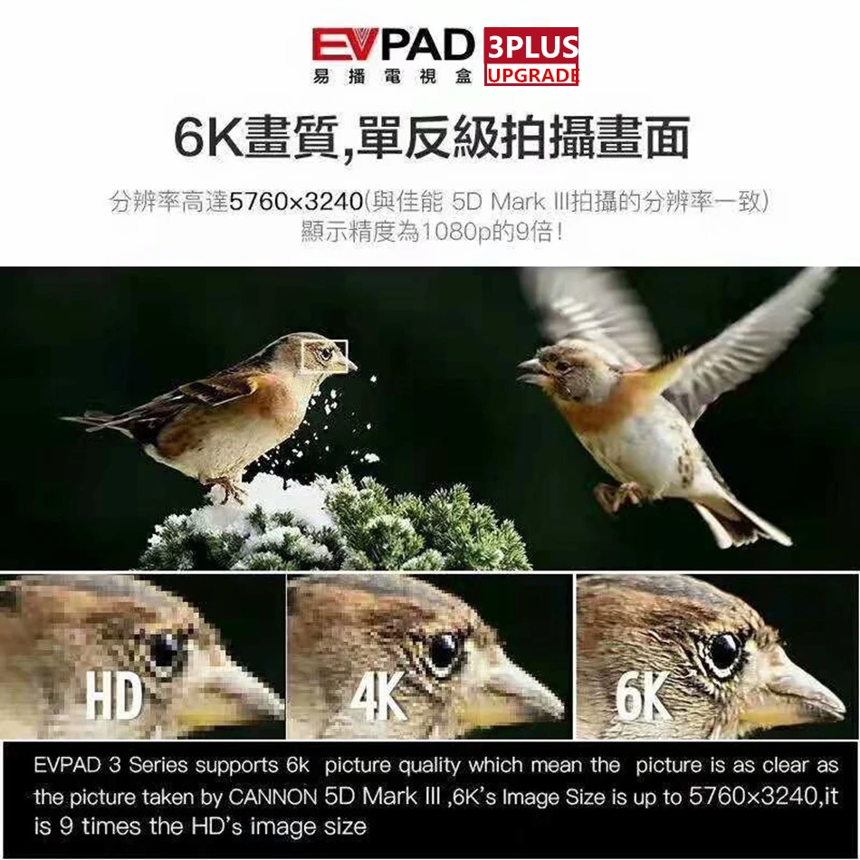 [Подлинный] EVPAD 3 s/3 plus/3max+ 4/64G ТВ коробка для корейской Японии китайский HK Malay TW США Таиланд Вьетнам Android драма