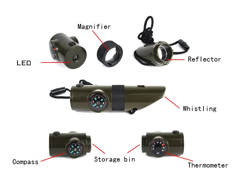 4297403831_224176411