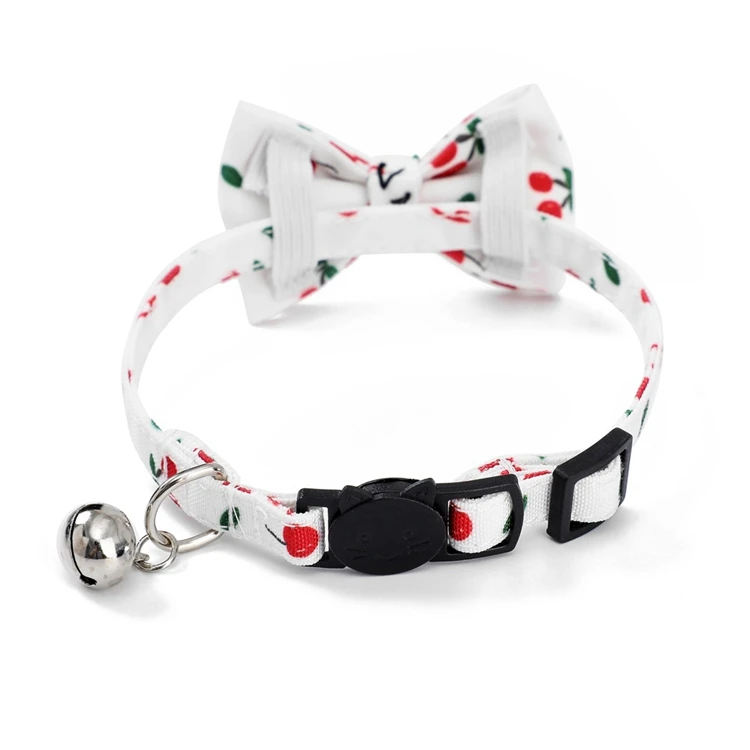 5 - 17327380778_1242344829