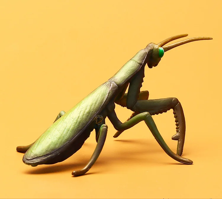 Бутик твердый большой Mantis статическая модель насекомое животное модель игрушки Дети Раннее детство Когнитивная обучающая модель