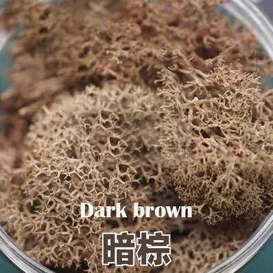 450ml Миниатюрная модель имитация куста модель низкая трава лишайник 450 мл DIY песок стол военный поезд сцена модель материал - Цвет: 450ml