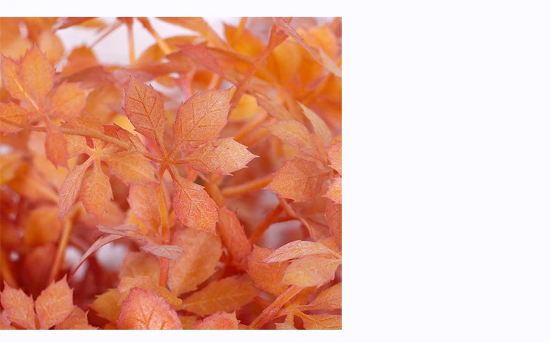 详情_12609305330_1554594402