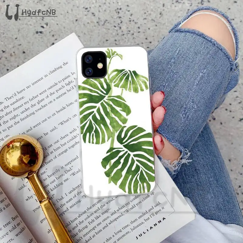 Banana Leaf