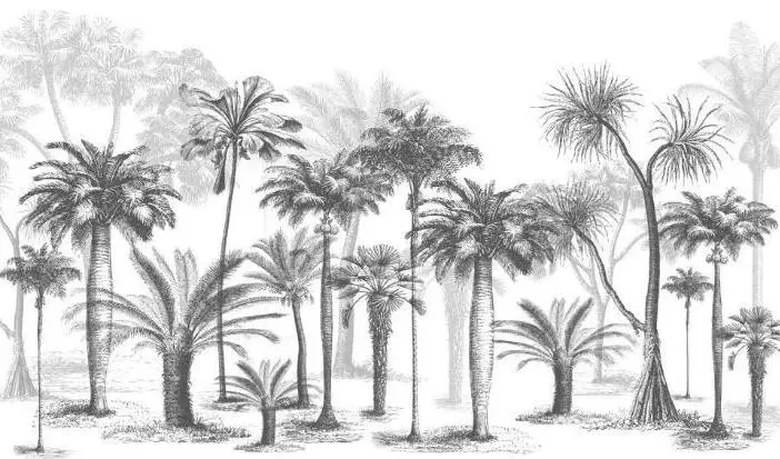 QQ截图20200517171818