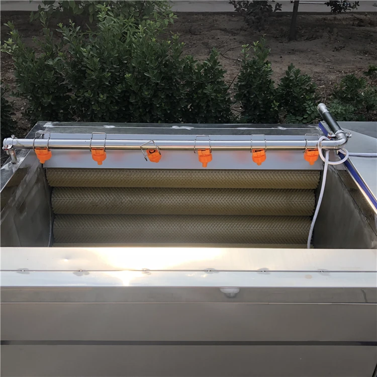 commercial 500kg capacity carrots Brush cleaning machine Fruit and vegetable radish cleaner