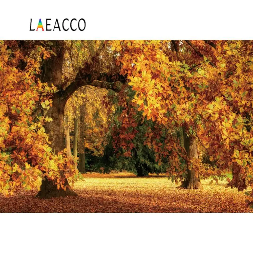 Laeacco спокойный осенний лес дерево Желтые карты парк детская вечеринка