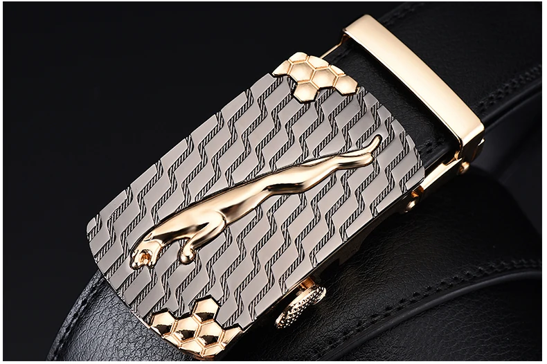 Ha112be9860df49a28a1c79d29dcaacf6z.jpg?width=790&height=526&hash=1316