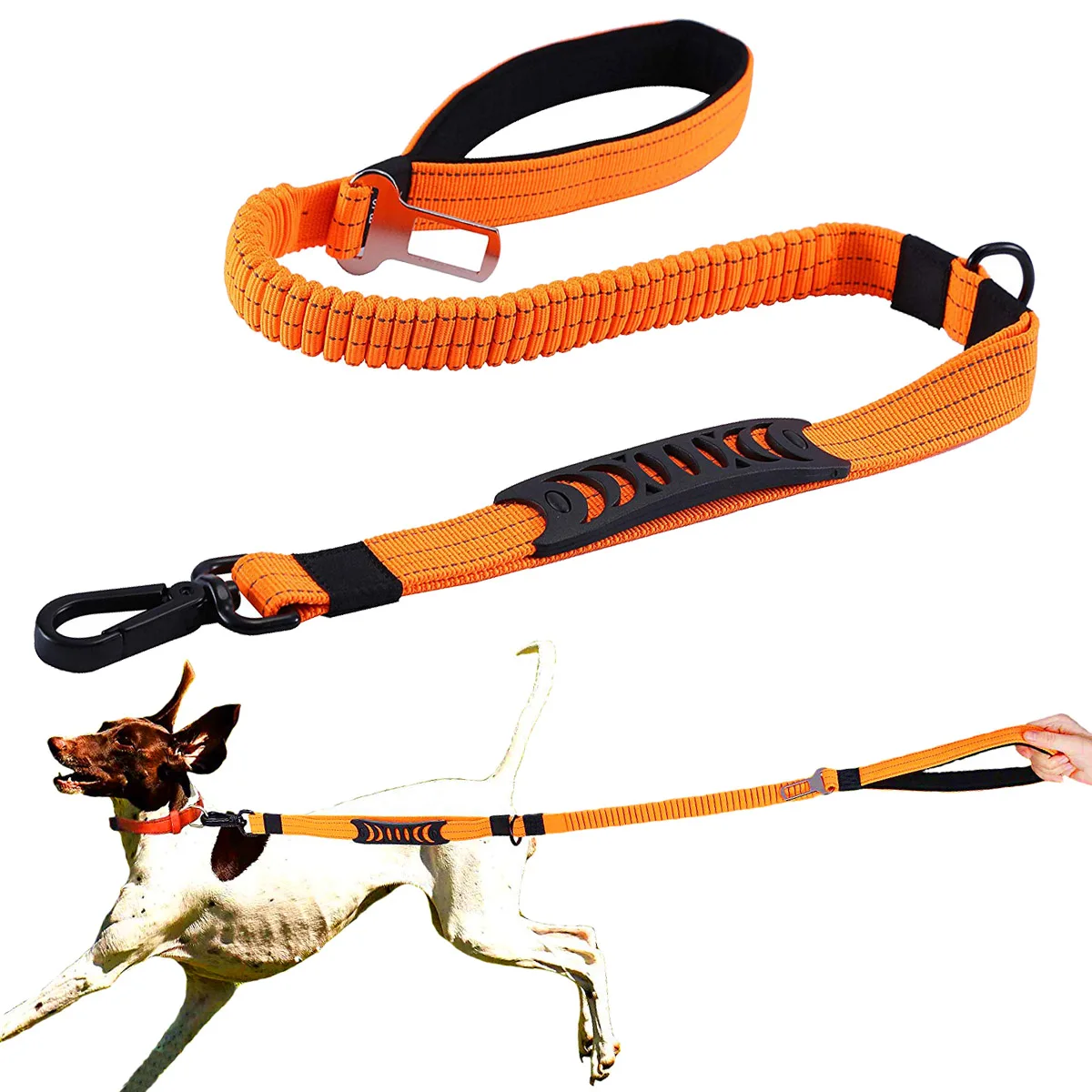 dog harness and seat belt for car