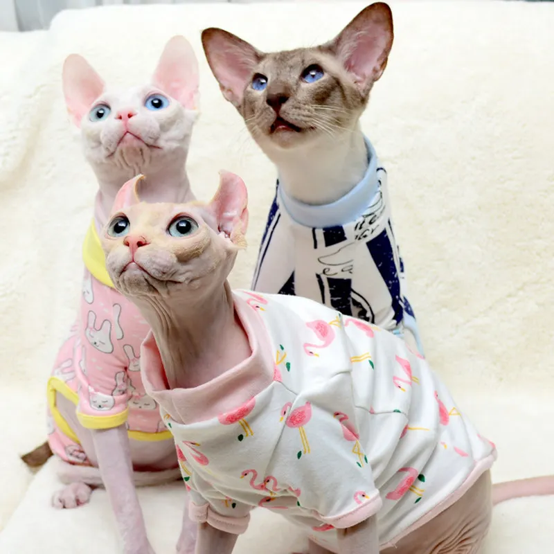 [MPK Store] Одежда для кошек летняя тонкая короткая одежда в британском стиле с