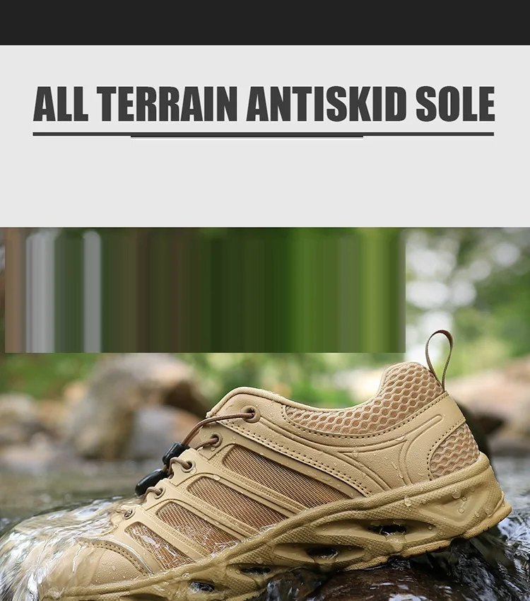 14431533592_1259480918