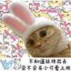 Funny Pet Dog Cat Cap Costume Warm Rabbit Hat New Year Party Christmas Cosplay Accessories Photo Props Headwear ► Photo 3/6