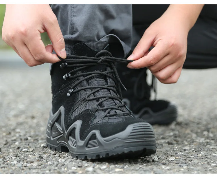 11623155754_1984534002