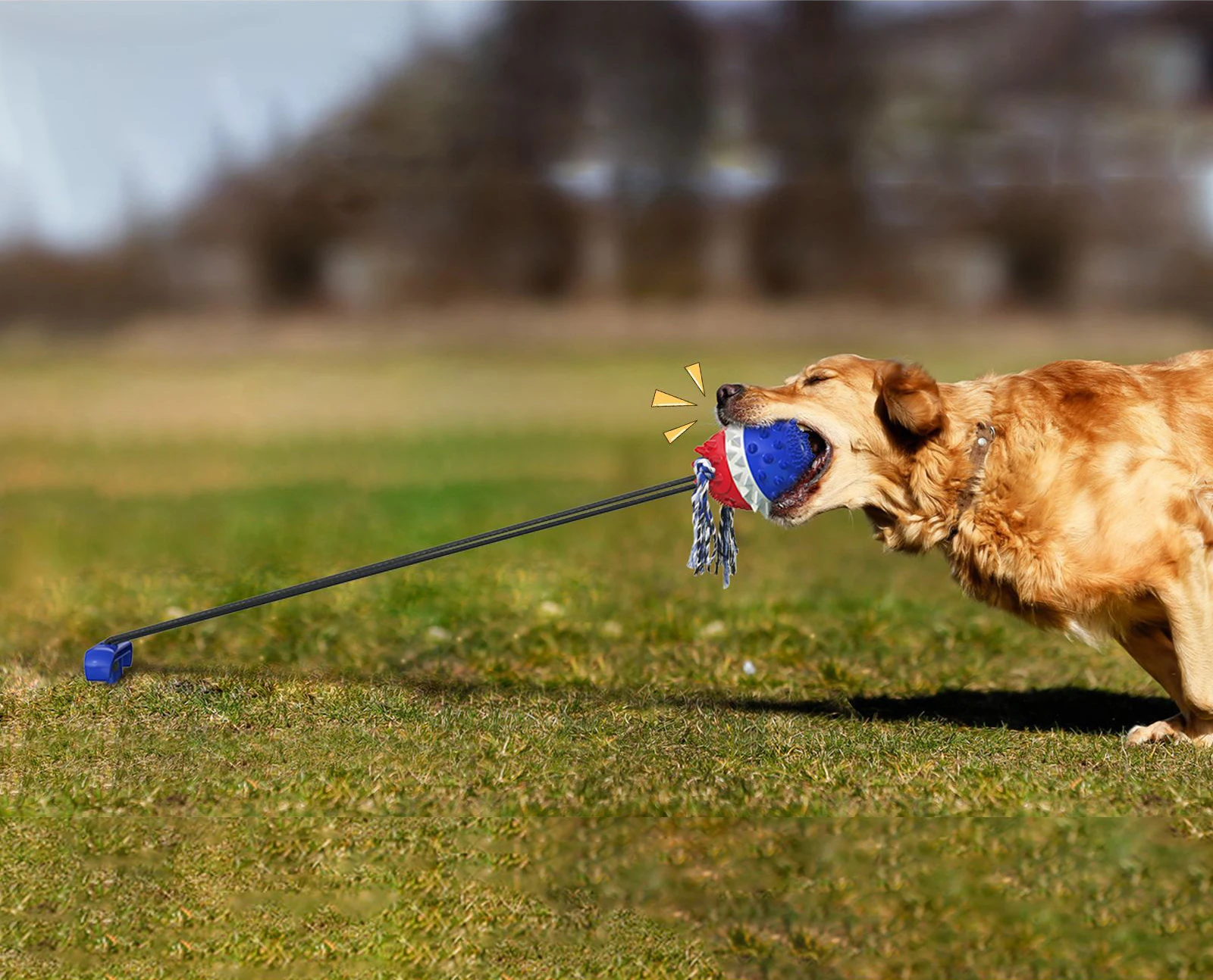 rope toy