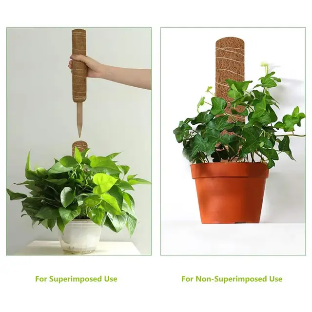 50%Hotplant Tartó Pólus Egymásra Rakható Tartós Fa Kókuszmos Totem Beltéri Növényekhez - Image 4