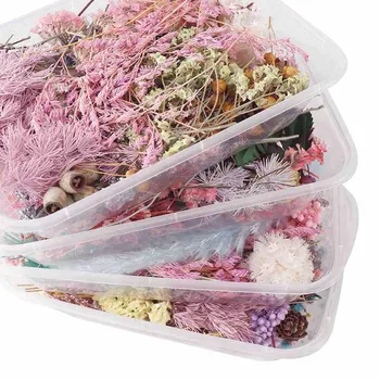 

Practical Dried Flower Aromatherapy Candle Making DIY Material For Candle Soap Making Dried Flowers Candle Handmade Accessories