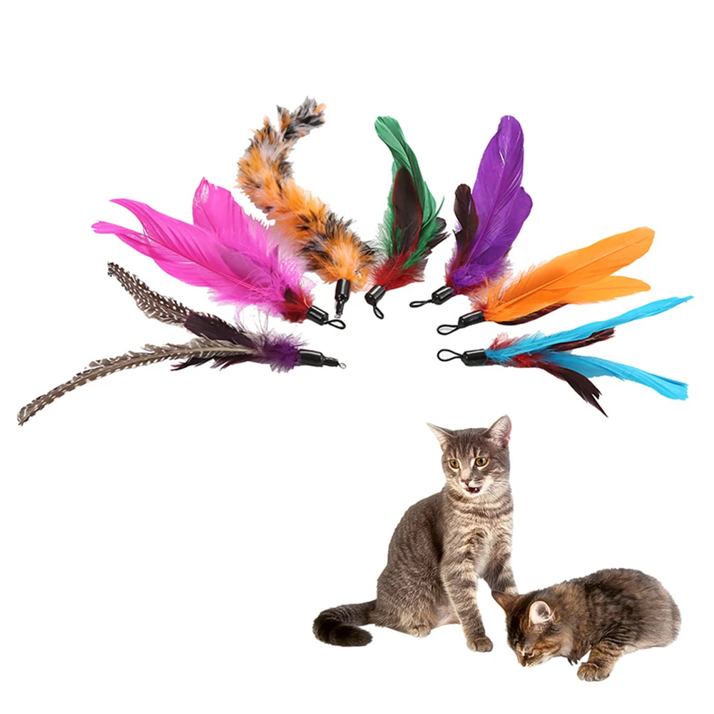 7 шт. Pet кошки Котенок Перо Прорезыватель Play Stick Замена головы царапин игрушка