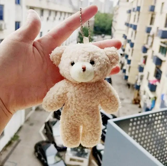 Plush Bear Keychain Mini Teddy Bear Stuffed Animal Key Ring Backpack  Handbag Pendants for Graduation Birthday Wedding Party Favor, Cute Teddy  Bear Bag Charm - Perfect Girl Accessory Keychain, Plush Bear Keychain