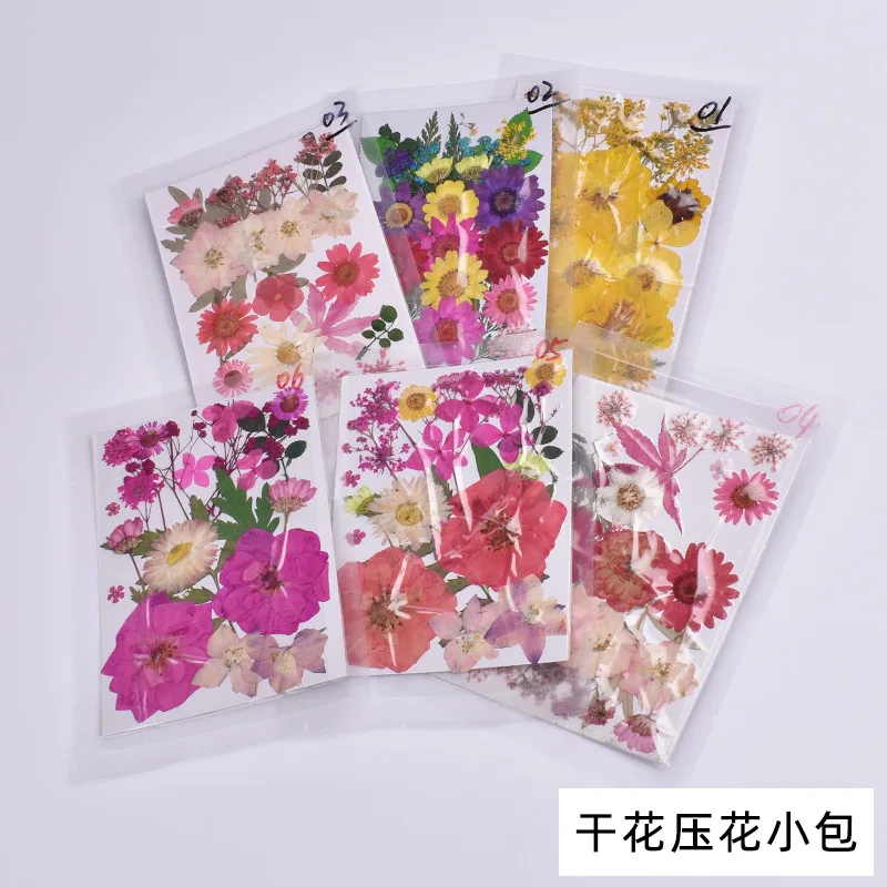 

Small Real Dried Flower Dry Plants For Candle Epoxy Resin Pendant Necklace Jewelry Making Craft DIY Accessori