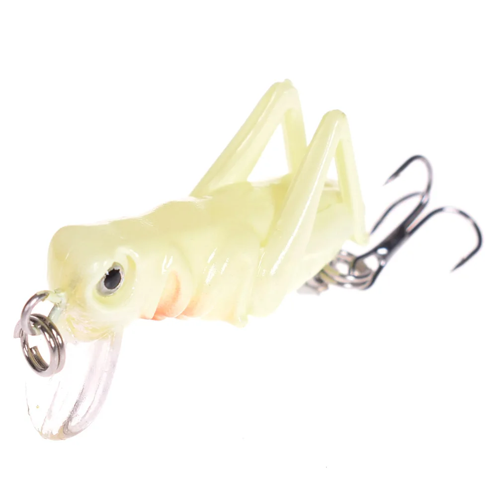 G71536383651_DSC_3321