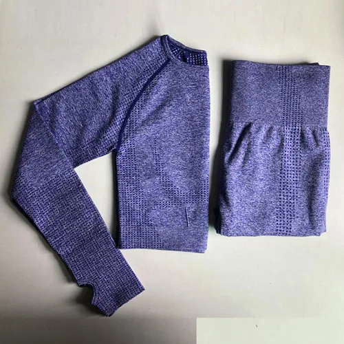 Style 2-Purple Женский бесшовный комплект для йоги из 2 предметов, спортивный костюм для фитнеса, тренировки в тренажерном зале, укороченный топ, длинный рукав, для йоги, рубашка+ Леггинсы для йоги, женская спортивная одежда - Цвет: Style 2-Purple