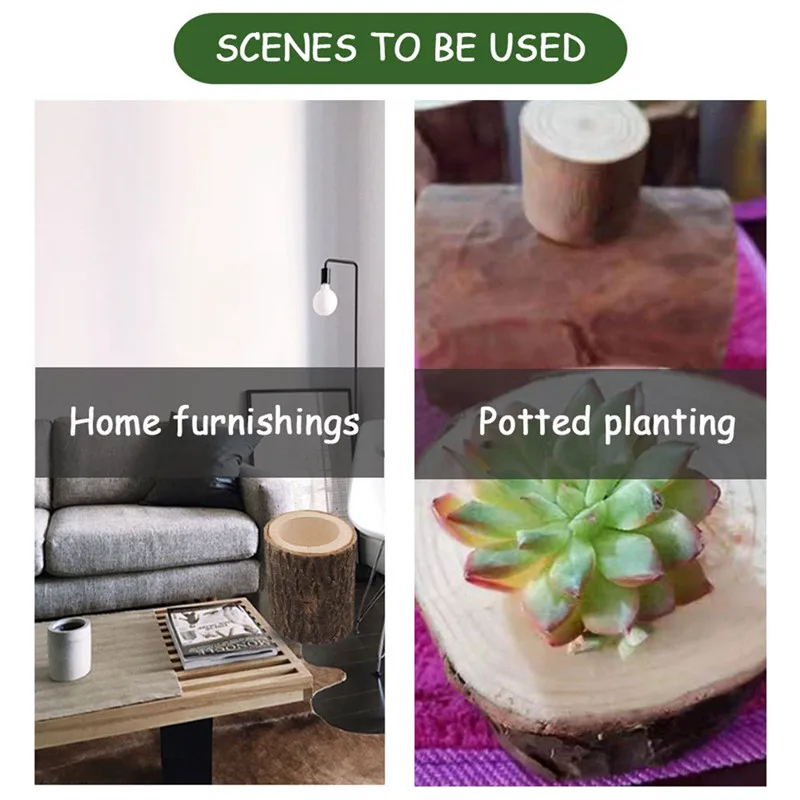 CCS91015003B_0229567011519084180