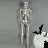 40CM Skeleton Model Wholesale Learn Aid Anatomy art sketch Halloween Flexible Human Anatomical Anatomy bone ► Photo 2/6