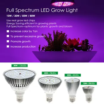 

Grow Led E27 Phyto Lamp 10W 30W 50W 80W E27 Led Grow Light Full Spectrum Fitolampy Ac85-265V SMD 5730 IR Uv Led Lamps For Plants
