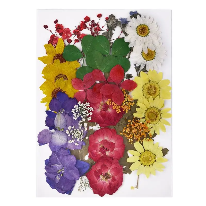 1 Bag Dried Flowers Dry Plants for Rsein Mold Fillings Epoxy Resin Pendant Necklace Jewelry Making Craft DIY Nail Art Decoration 