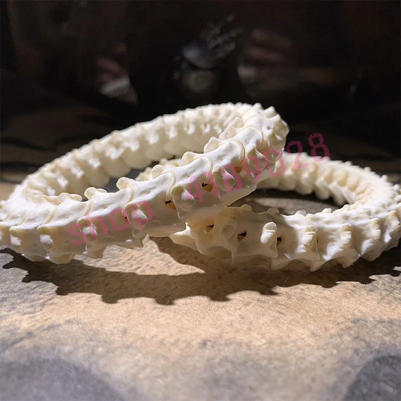

100% authentic, original, natural original color snake bone bracelet, exquisite handicraft accessories
