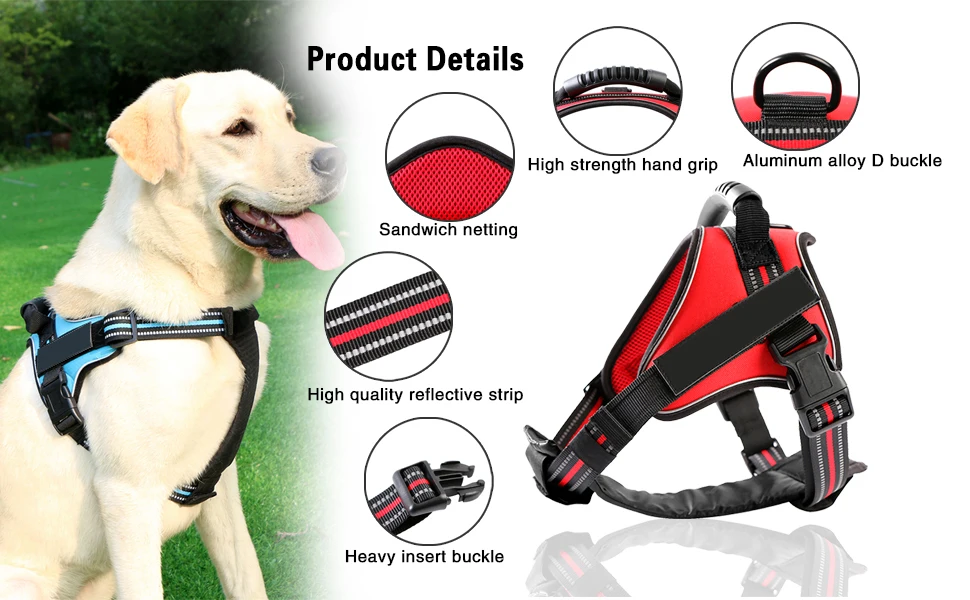 349475ea-5928-4833-837f-61de9199d45b.__CR0,0,970,600_PT0_SX970_V1___