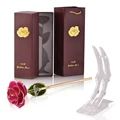 Rose Pink with stand