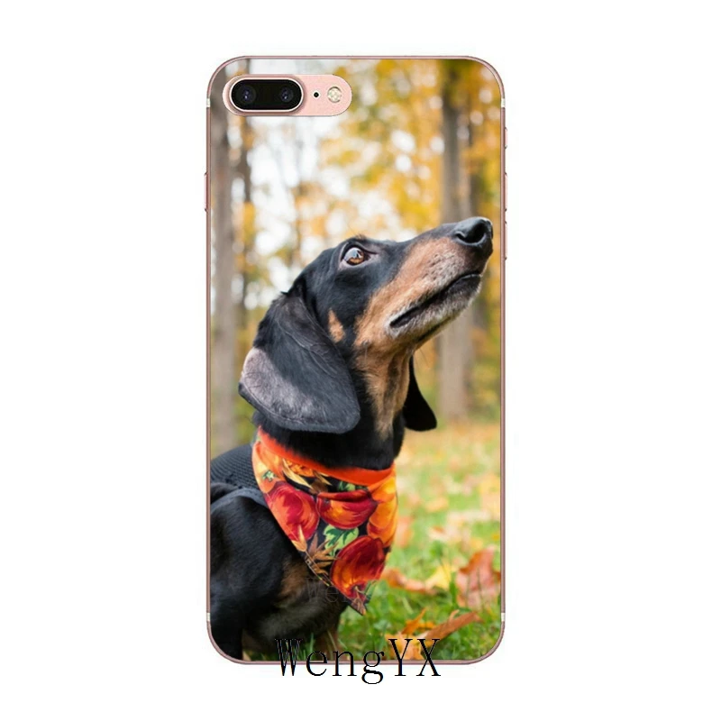 Чехол такса для huawei P30 P20 P10 P9 P8 pro Lite P Smart plus силиконовый мягкий чехол - Цвет: Dachshund-dog-C-09