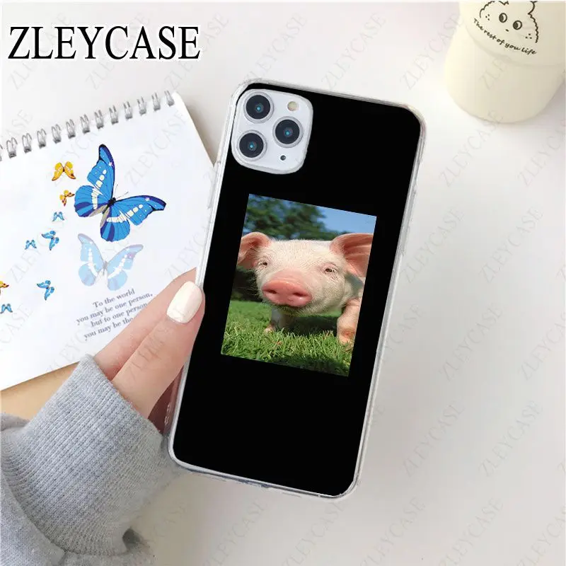 Cartoon funny Lovely Pink Pet Pig