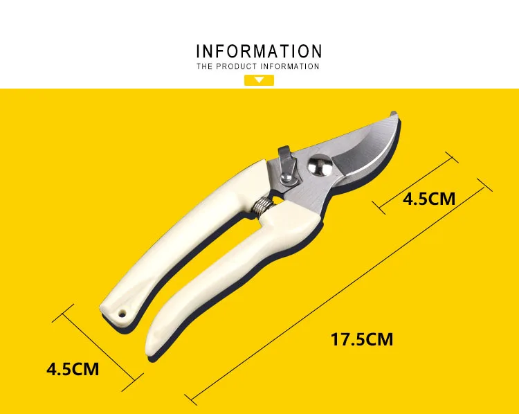 3121109730_598991726