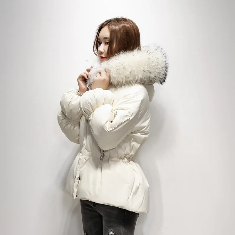 

Women's Down Jacket Korean Winter White Duck Down Jacket Woman Hooded Raccoon Fur Collar Jackets Coats Parka 2019 KJ2932