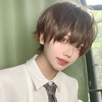 

Cosplay High Temperature Fiber Brown Male Daily Short Straight Hair New Style Synthetic Wig Fluffy Natural Artificial Wig