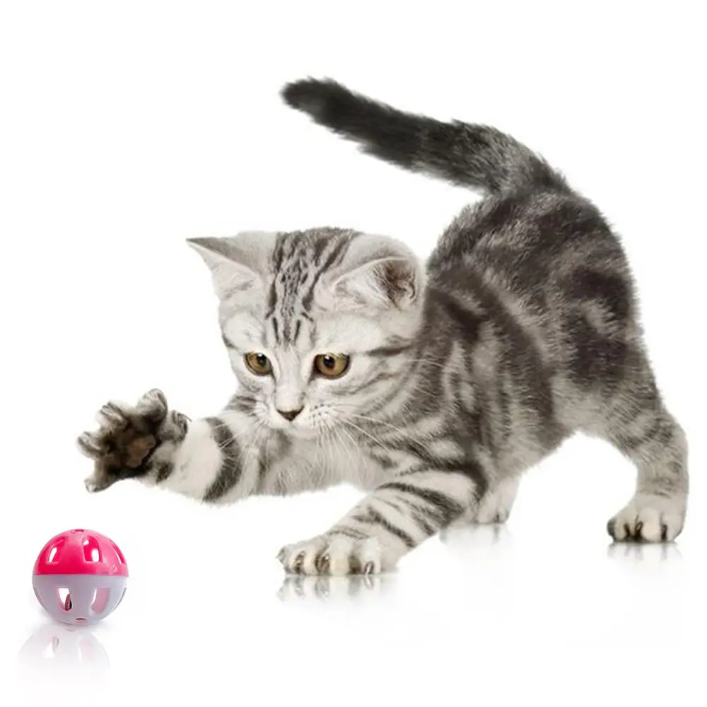 

10Pcs Cute Pet Cat Kitten Hollow Bell Ball Scratch Playing Interactive Sound Chew Toy Pet Product Cat Ball Toys Funny Chew Toy
