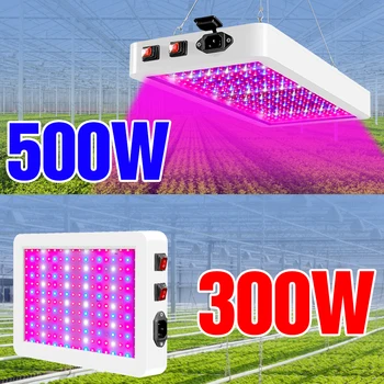 

Indoor Led Grow Light 300W 500W Phyto Lamp LED Full Spectrum Seedling Fito Lamp LED Plant Growing Lights For Flower Hydroponics