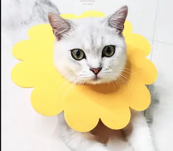 

5 pcs Pet Elizabeth Circle Collar Cat Wound Healing Medical Anti Bite Sun Flower Saliva Towel Felt Cloth Cat Collar