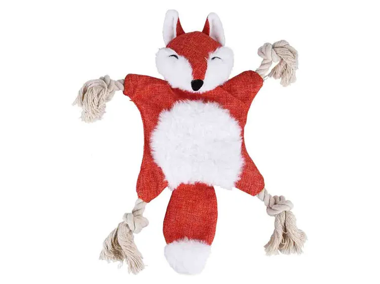 11028486884_906868034