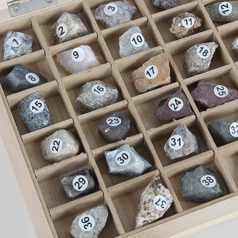 10384568166_1505618164