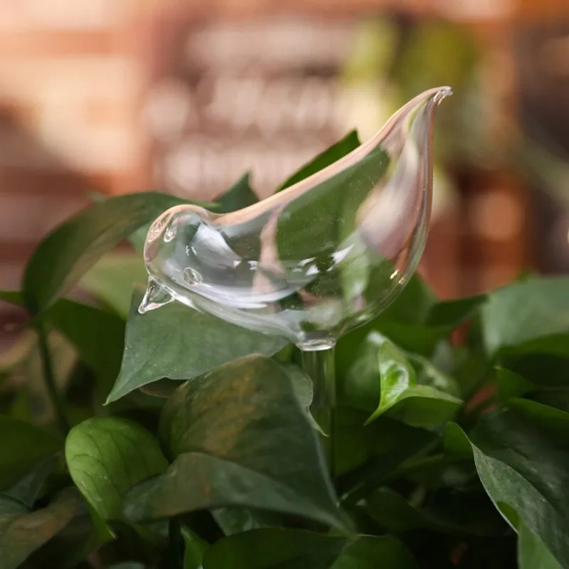 Houseplant Automatic Self Watering Glass Bird Watering Cans Flowers Plant Decorative Clear Glass Watering Device 12 Shapes - Цвет: BM0302D