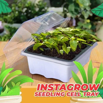 

6/12 Holes Plant Seed Grows Box Nursery Seedling Starter Garden Yard Tray Seedling Trays Seed Box Plant Flower Grow Germination