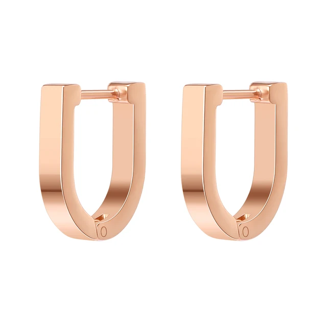 Stainless Steel Hoop Earrings for Women Men Black Rose Gold Plated Circle Round Earring Geometric Classic Cartilage Earrings EH697 Rose Gold