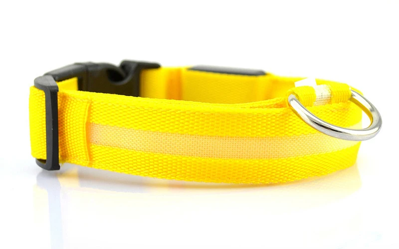 USB Charging Led Dog Collar Anti-Lost/Avoid Car Accident Collar For Dogs Puppies Dog Collars Leads LED Supplies Pet Products