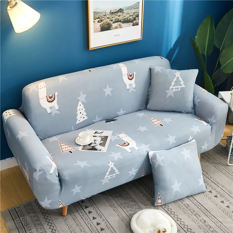 12013614158_1907379891